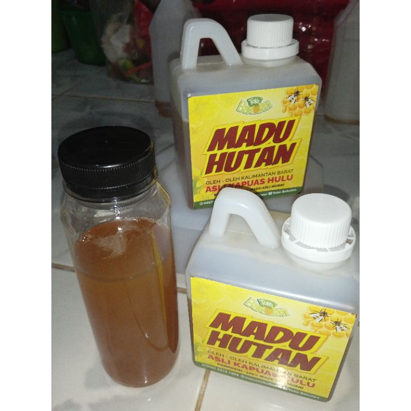 

Madu Hutan Kalimantan Barat