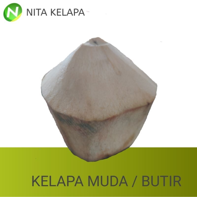 

Kelapa Muda Papas Diamond Murah Grosir Bisa Antar Hotel Restoran Cafe
