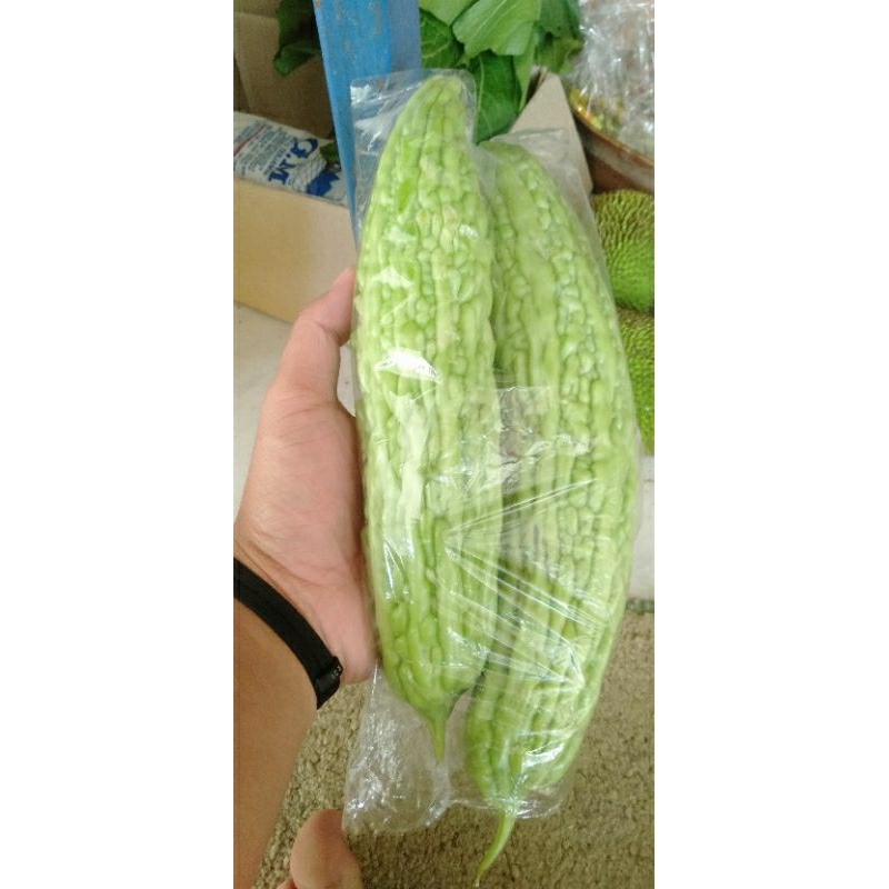 

BUAH PARE, PARE SAYUR