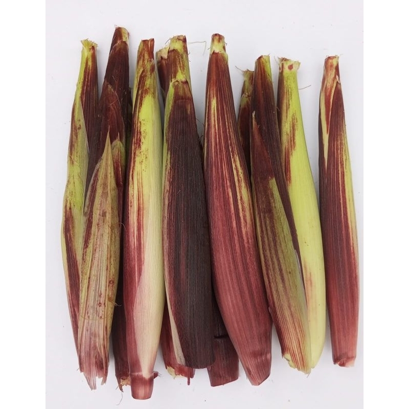 

Baby Corn Jagung Ketan Ungu