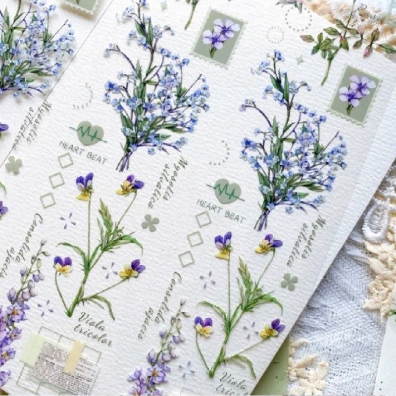 

Sample Baicangjia Studio Spring Note PET Tape perloop