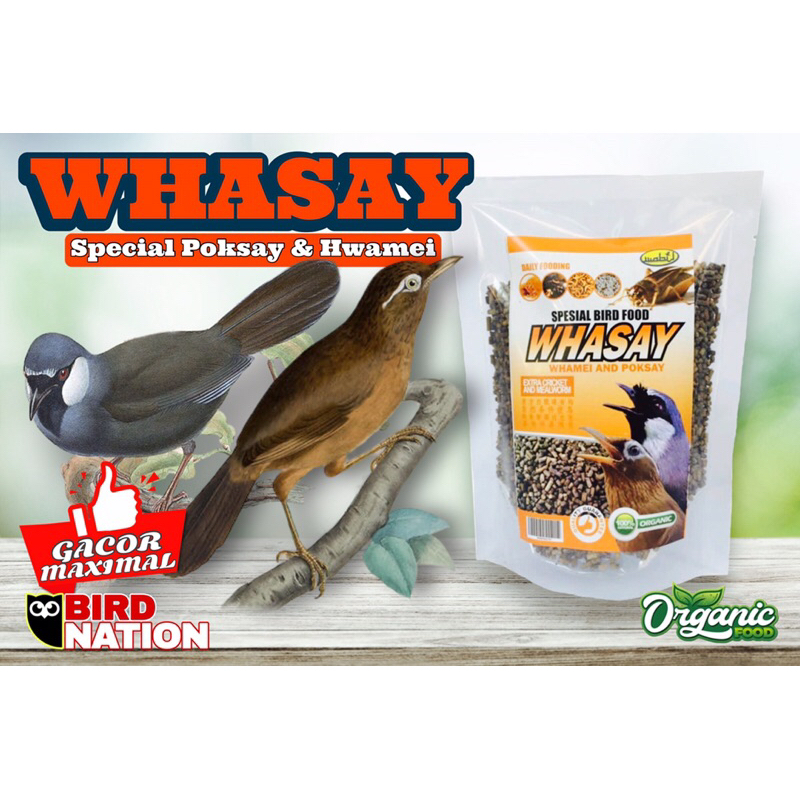 Pakan Burung Poksay Hongkong (Garrulax Chinensis) Hwamey (Garrulax Canorus)