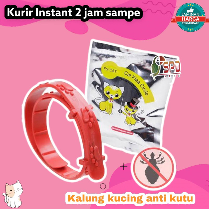 KALUNG KUCING ANTI KUTU