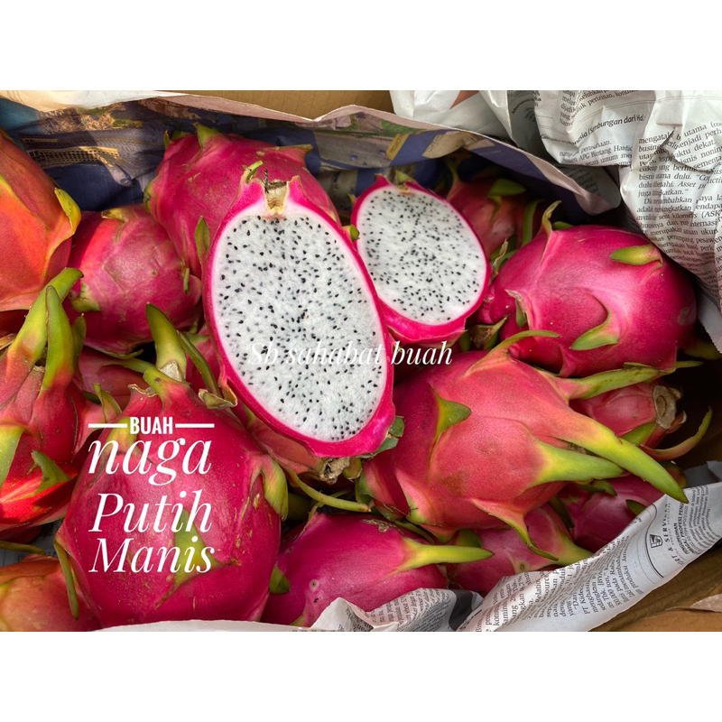 

BUAH NAGA PUTIH MANIS EXOTIC 1KG