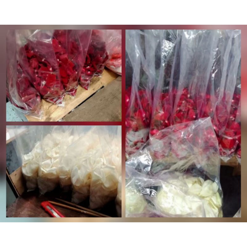 KeLopak Mawar Merah ,Kelopak Mawar Putih ,(Merah+Putih)Rose flowers Mawar tabur  segar