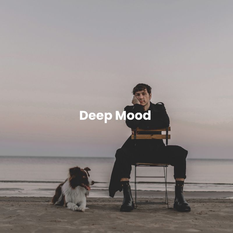 DEEP MOOD PRESET LIGHTROOM (iOS &amp; ANDROID)