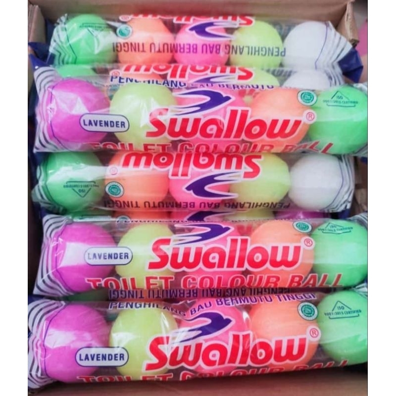 Kapur Barus Swallow