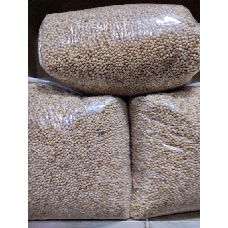 

ketumbar kuning asli/original