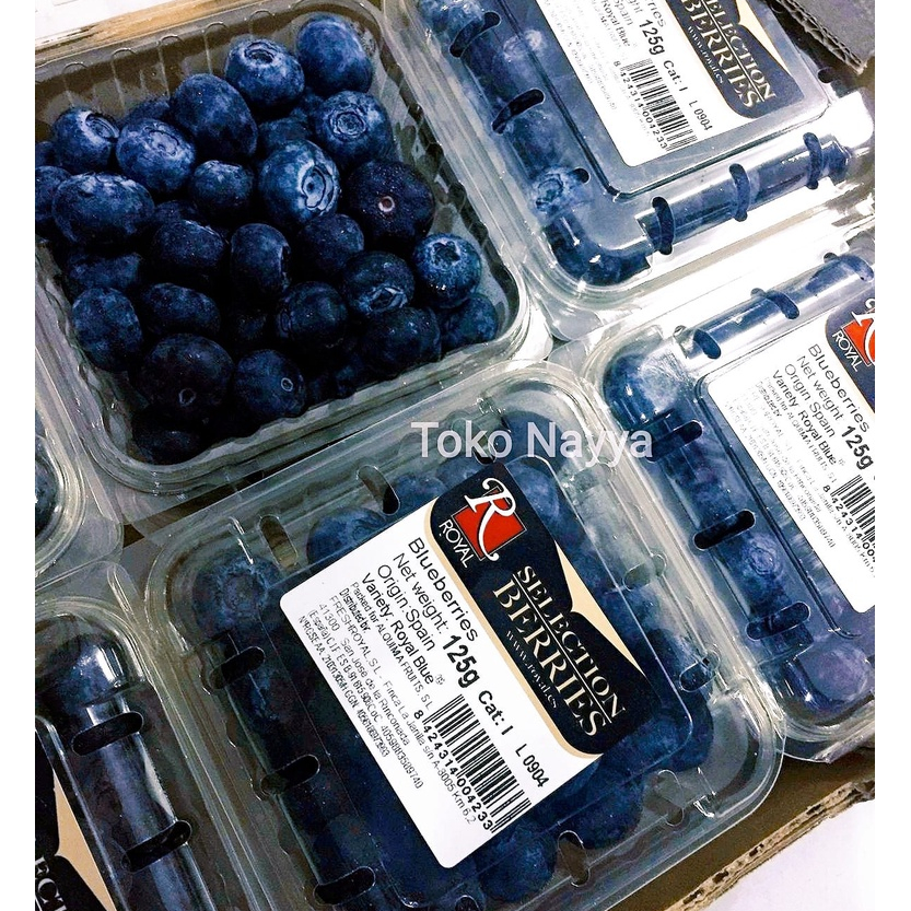 Buah Blueberry Segar | Fresh Blueberry