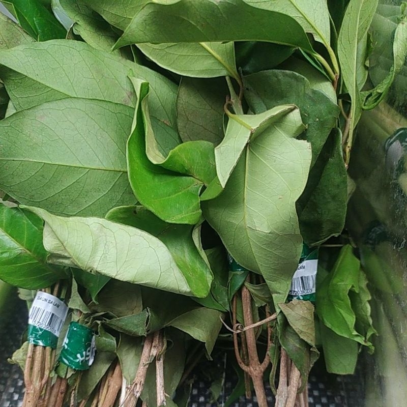 

Daun Salam Segar Per 1 Ikat Denpasar Bali