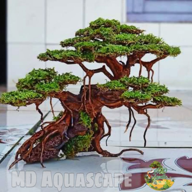 Bonsai Aquascape Triple Bonus Moss Weeping
