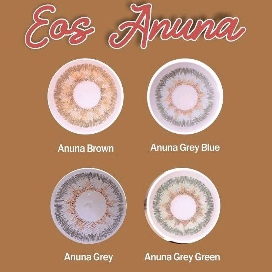 SOFTLENS EOS ANUNA GRAY BROWN BLUE  NORMAL MINUS s.d -8.00
