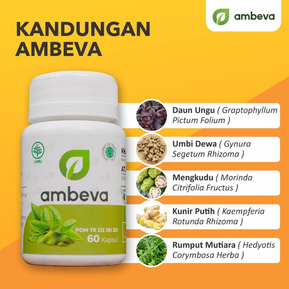 Ambeva obat ambeien mengempeskan benjolan ambeyen wasir berdarah stadium 4 herbal paling ampuh bpom original asli