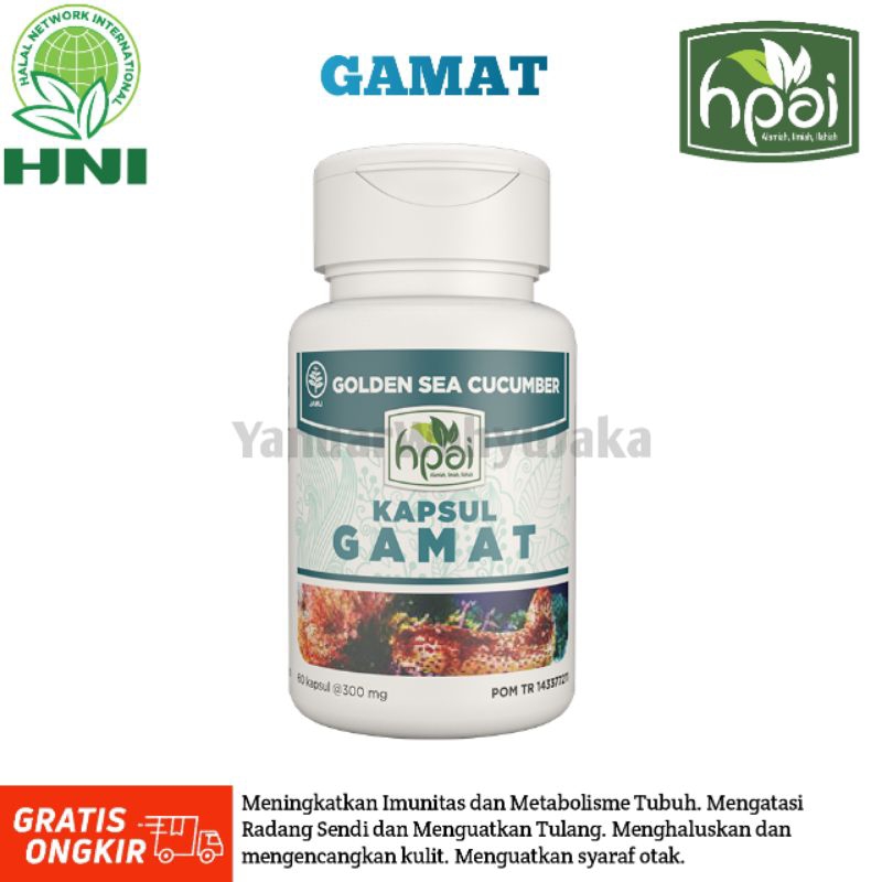(Bisa COD) Kapsul GAMAT Tradisional Obat Tradisional Untuk Nyeri Sendi (HPAI)
