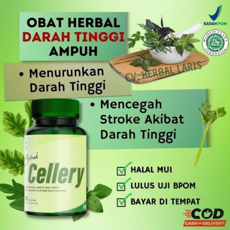 E Cellery Kapsul herbal obat untuk darah tinggi dan hipertensinya Cellery