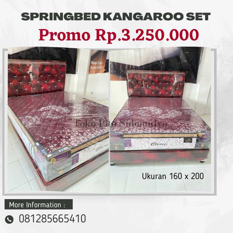 springbed kangaroo set divan 160x200