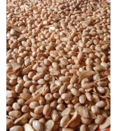

Kacang Bawang 1 liter dan 500gram