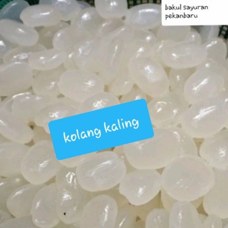

Kolang Kaling 500 gram