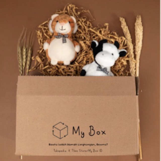 

17x9x6 cm / 17 x 9 x 6 cm / dus kardus kotak karton murah