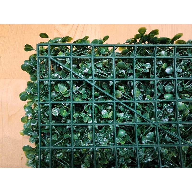 DAUN DOLAR DINDING SINTETIS PREMIUM 40 x 60 CM (HARGA LANGSUNG PABRIK)  DAUN RAMBAT DAUN DOLAR VERTIKAL GARDEN (BEST QUALITY)