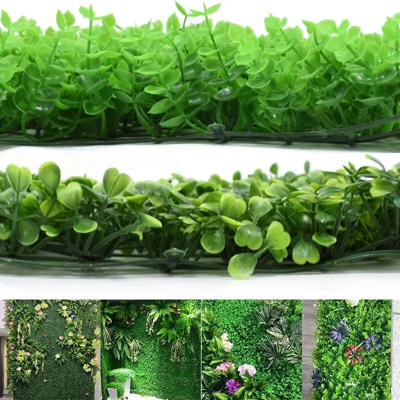 Rumput Lawn Alaska uk: 40x60 cm / Daun Dollar Rambat HIJAU