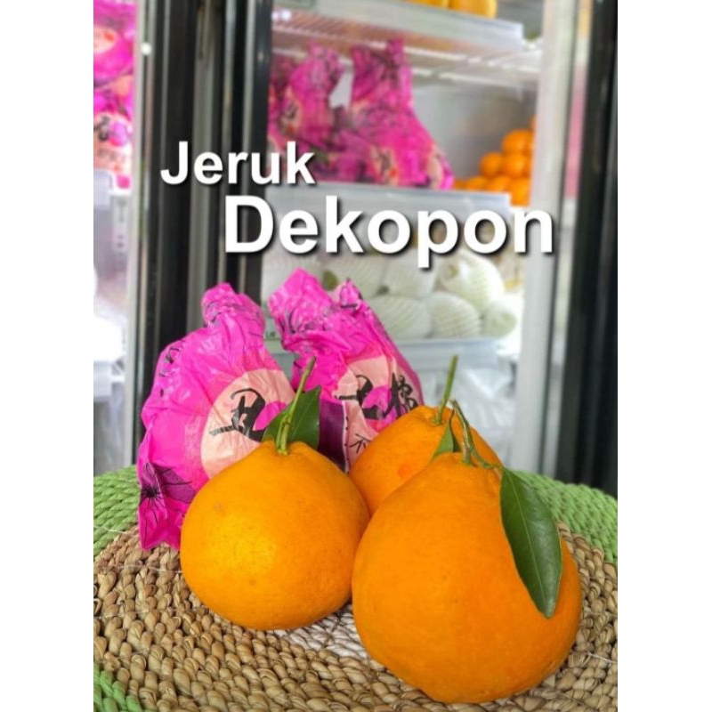 Jeruk Dekopon jeruk chun jian papagan XL