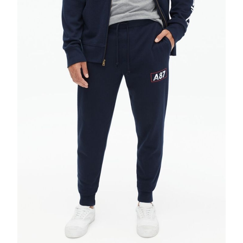 sweatpants/jogger pants aeropostale