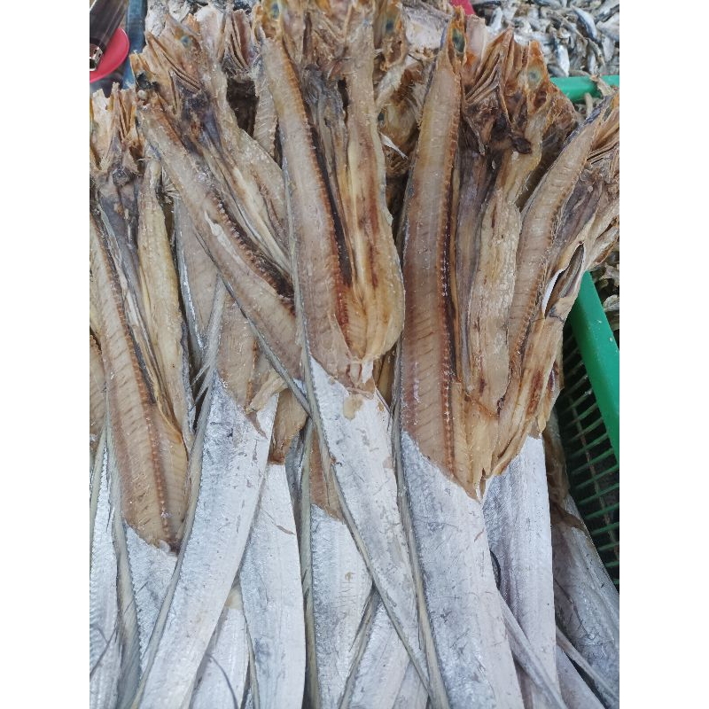 

Ikan Asin layur Ukuran sedang/campur 250/500/1KG