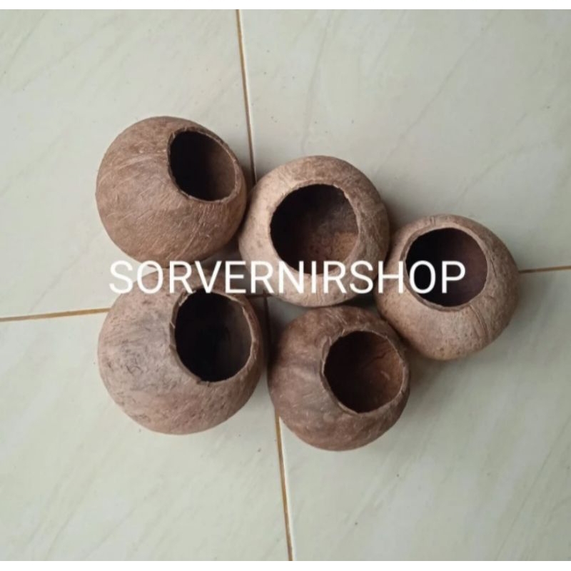 Tempurung kelapa Batok Kelapa