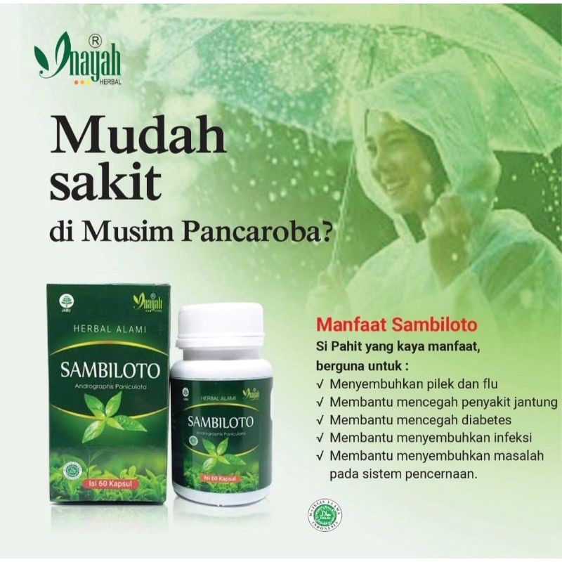 

* Kapsul Daun Sambiloto 60 Kapsul Herbal Terlaris