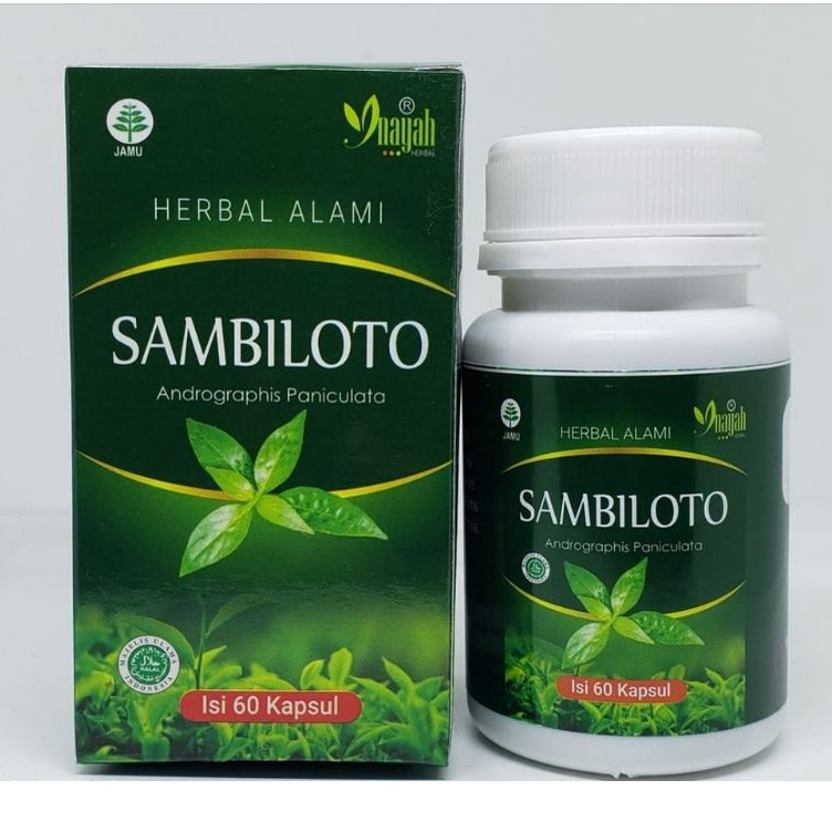 

* Kapsul Sambiloto Herbal Asli 100 Isi 60 Kapsul Androgaphis Paniculata Terlaris