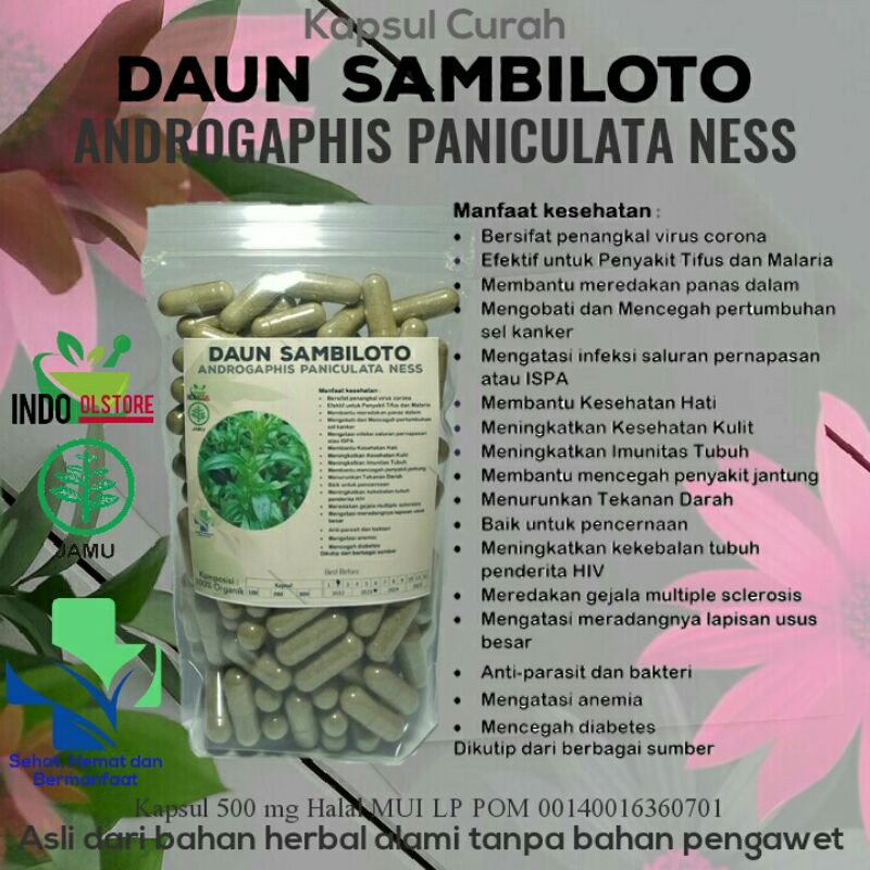 

* Kapsul Curah Daun Sambiloto 100 Kapsul Dipercaya Menahan Berbagai Macam Virus Tifus Jantung Diabetes Terlaris