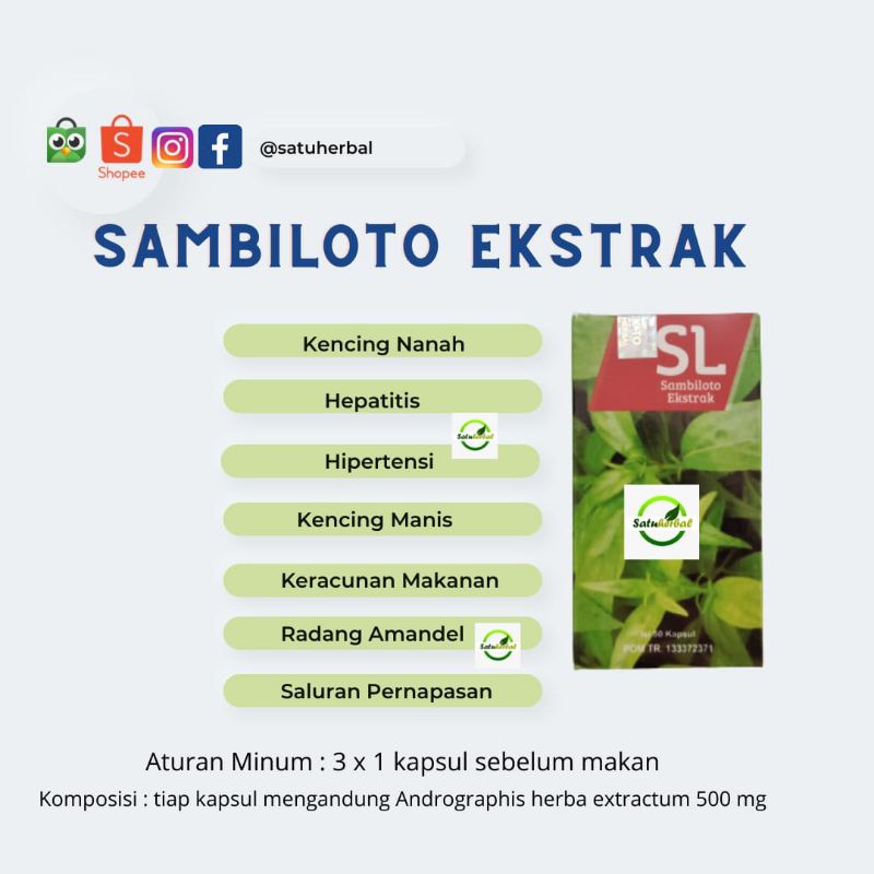 

* Kapsul Sambiloto Ekstrak Sambiloto Mabruuk Terlaris