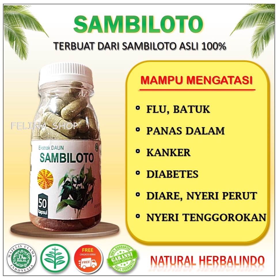 

* Sambiloto Kapsul Obat Diabetes Herbal Suplemen Kesehatan Imunitas Anti Kanker Kencing Manis Isi 50 Kapsul Terlaris