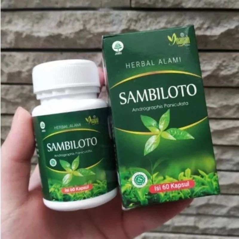 

* Kapsul Sambiloto Inayah Sambiloto Dus Hijau Sambiloto Ijo Terlaris