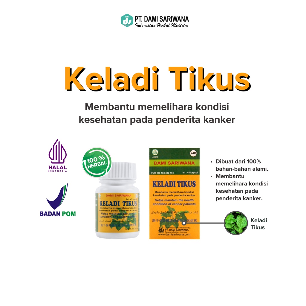 

* Herbal Keladi Tikus 45 Kapsul Membantu Memelihara Kondisi Kesehatan Pada Penderita Kanker Terlaris