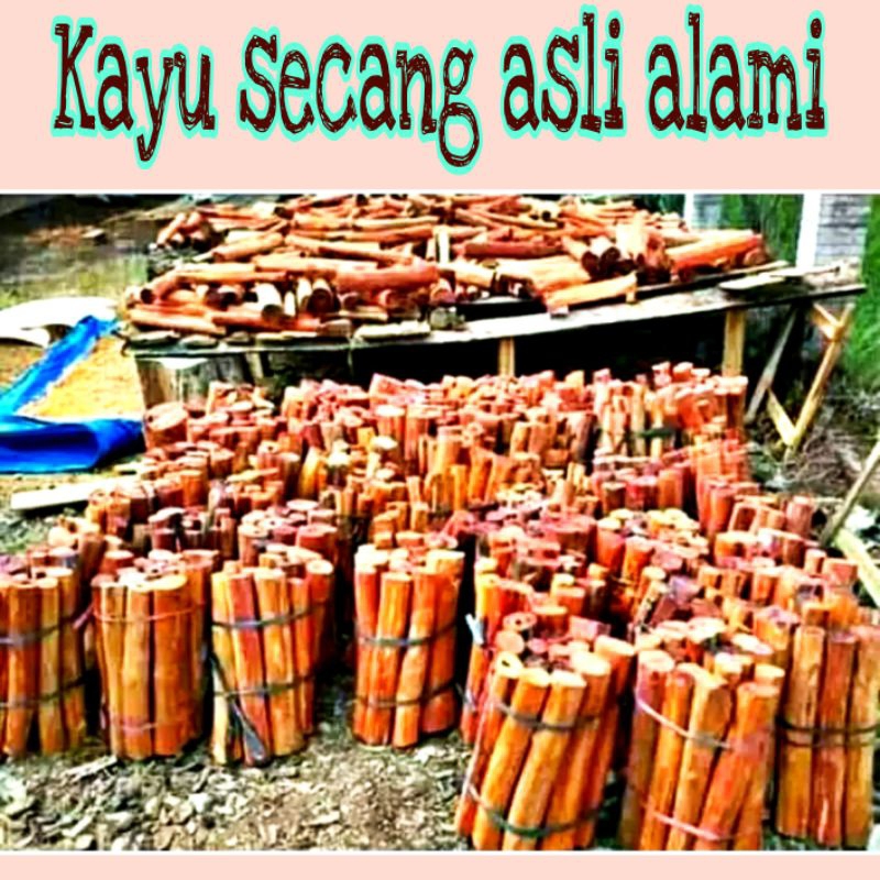 

* Kayu Secang Asli Alami 1 Kg Terlaris