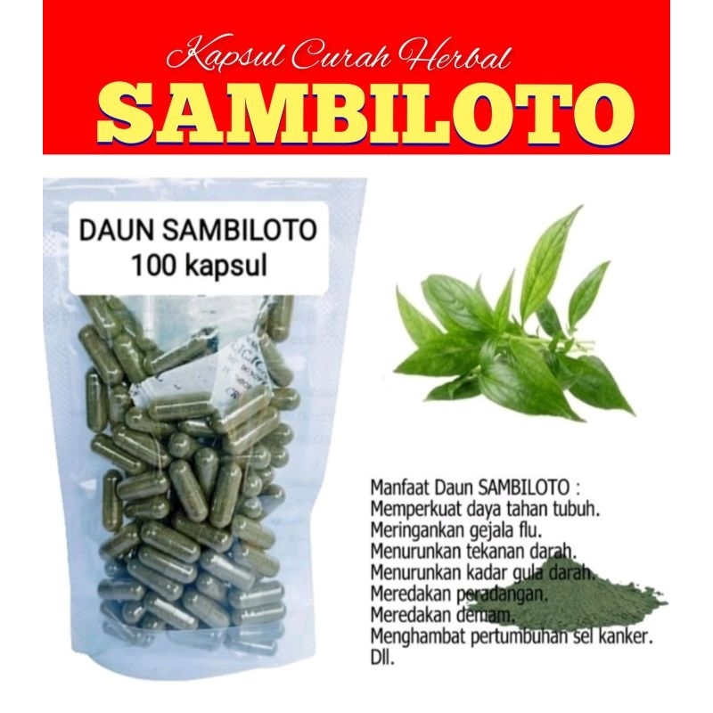 

* Daun Sambiloto Isi 100 Kapsul Diabetes Darah Tinggi Terlaris