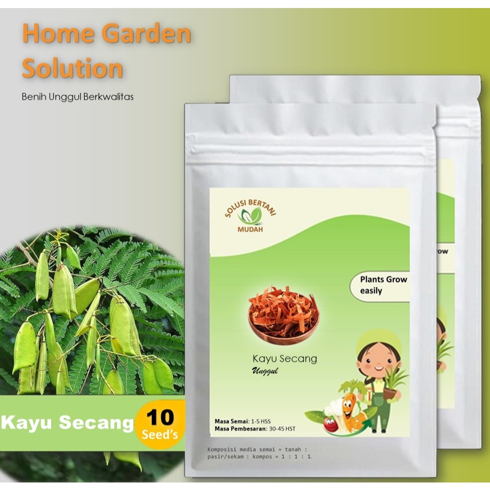 

* 10 Bibit Benih Herbal Kayu Secang Unggul Terlaris