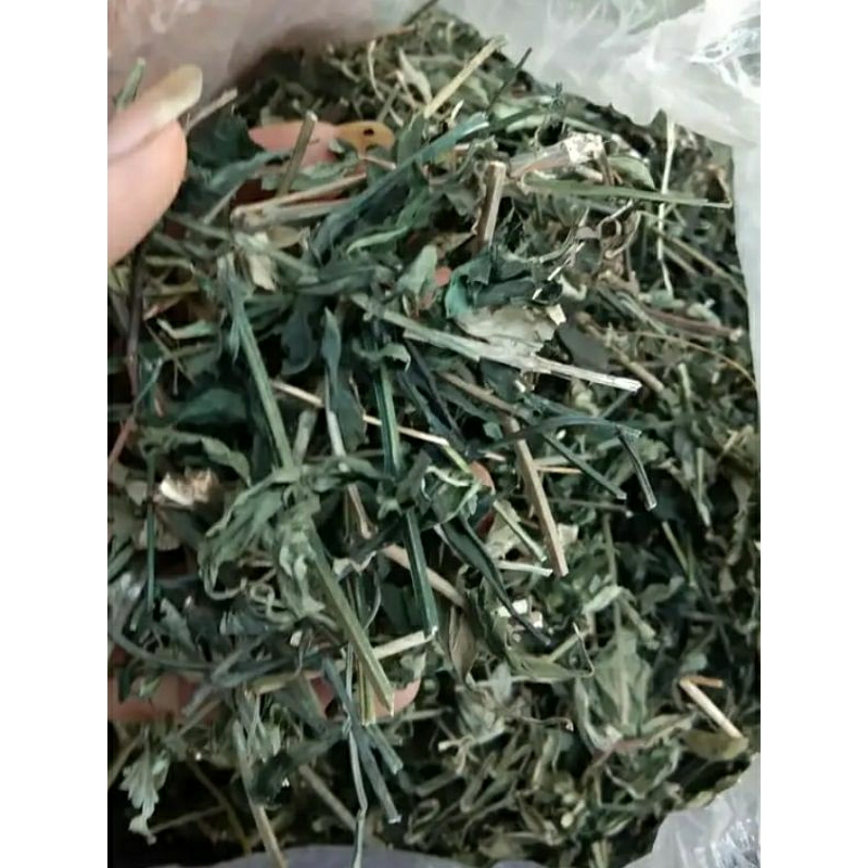 

* Daun Sambiloto Kering Asli 1kg Sambiloto Cacah Kering Terlaris