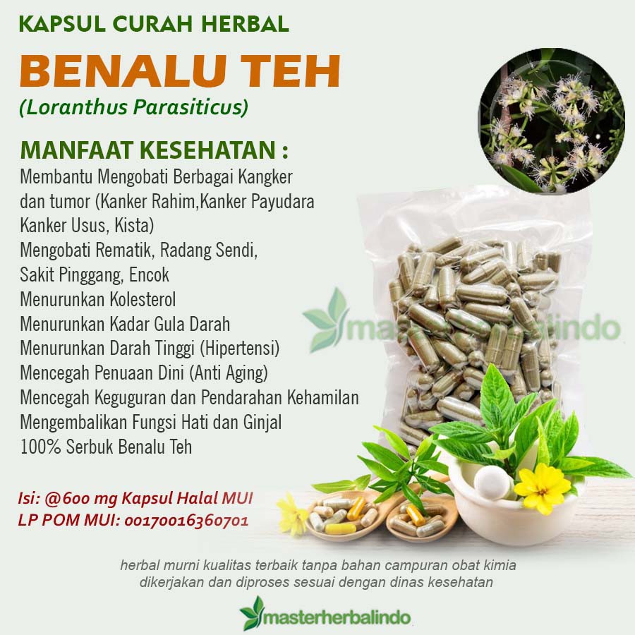 

* Kapsul Herbal Benalu Teh 100 Tumor Antiaging Hati Ginjal Kanker Ngorok Terlaris