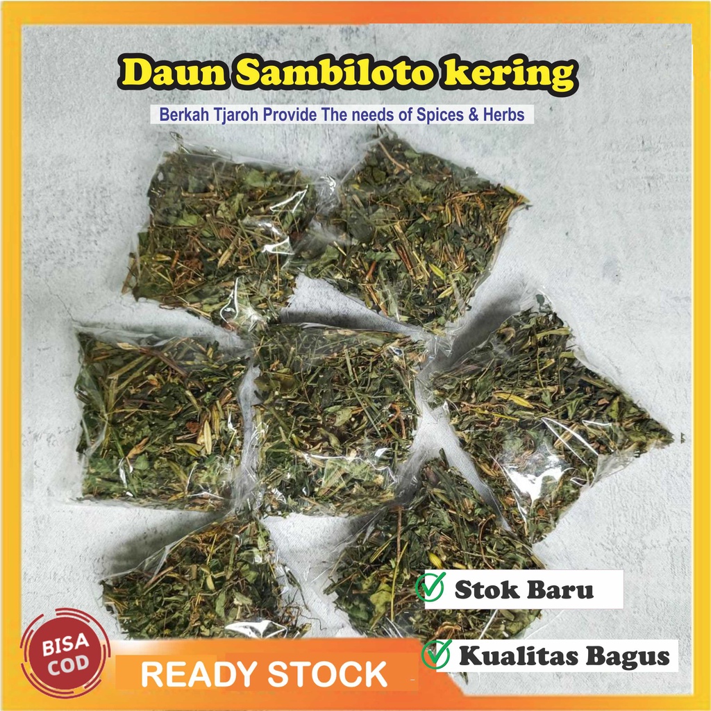 

* Daun Sambiloto Kering Atasi Diabetes Hipertensi Terlaris