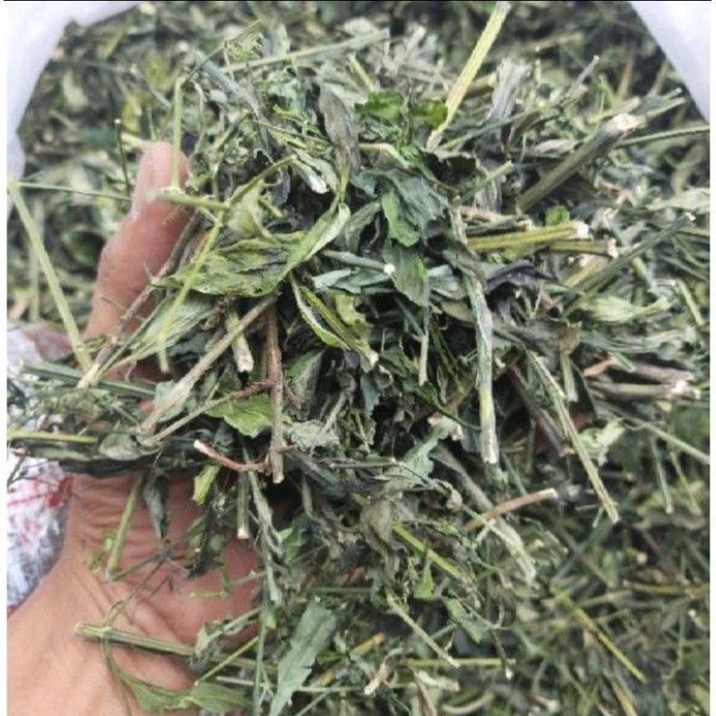 

* Sambiroto Kering 1kg Cacah Sambiloto Murni Murah Alami Terlaris