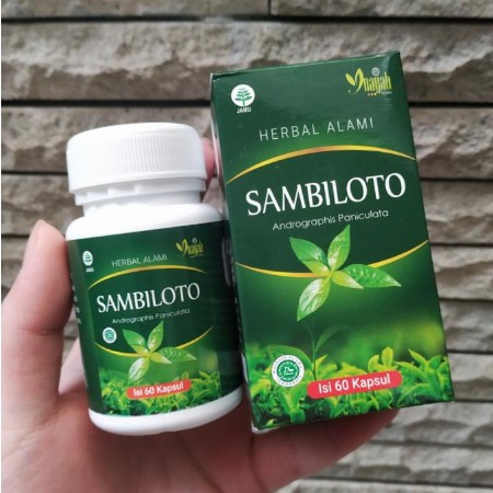 

* Sambiloto Inayah Isi 60 Kapsul Herbal Alami Terlaris