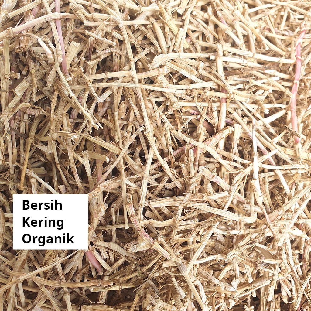 

* Akar Alang Alang 1 Kg Kering Sudah Bersih Herbal Njamucuy Terlaris