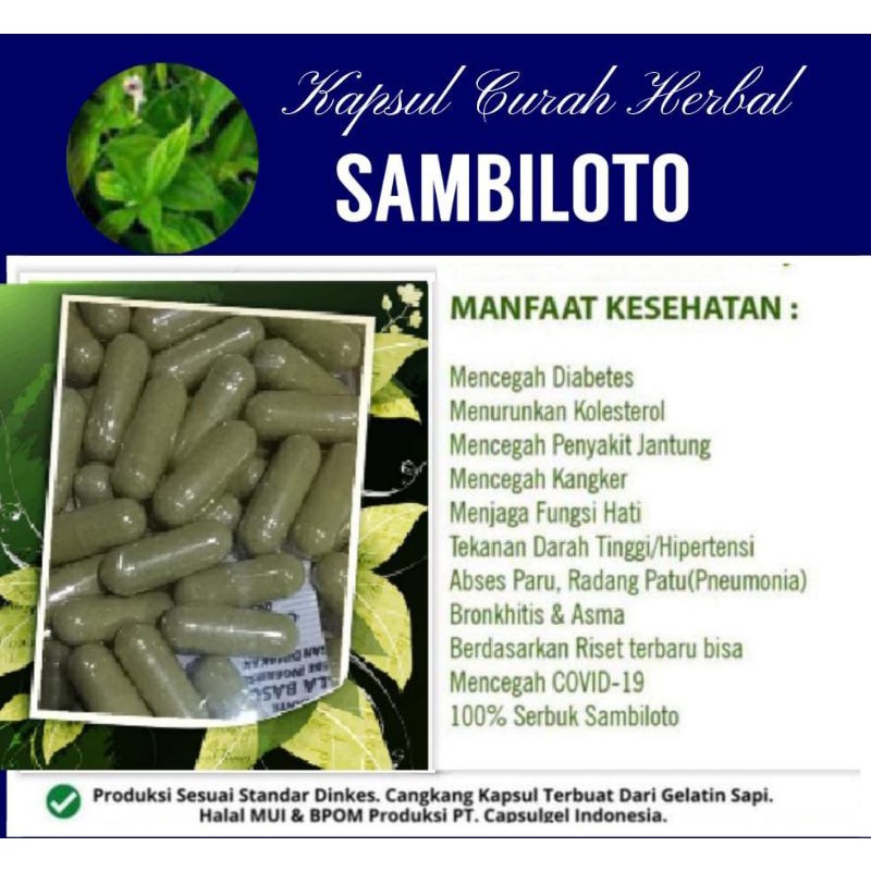 

* Kapsul Serbuk Sambiloto Isi 100obat Herbal Terlaris