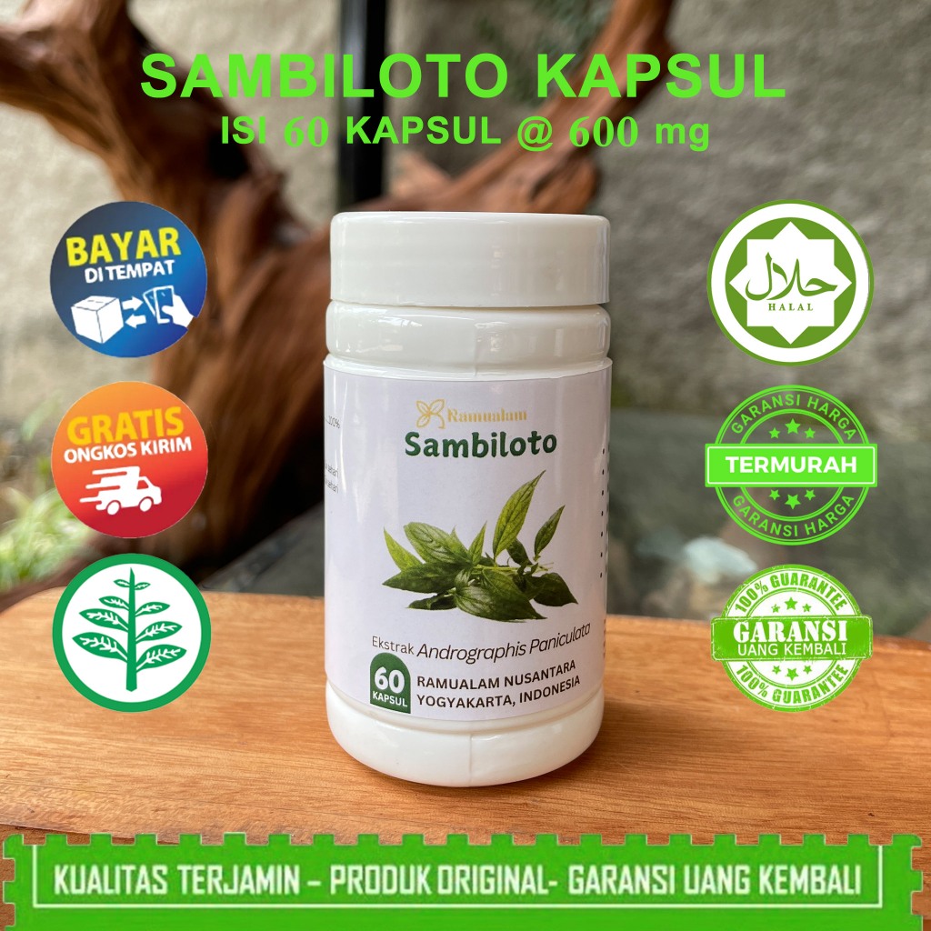 

* Kapsul Sambiloto 60 Kapsul Imun Booster Daya Tahan Tubuh Terlaris