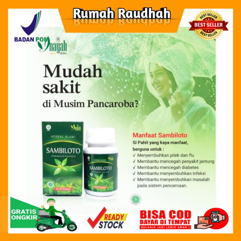 

* Kapsul Sambiloto Inayah Original 60 Kapsul Mengatasi Diabetes Anti Virus Mengatasi Batuk Flu Dll Terlaris