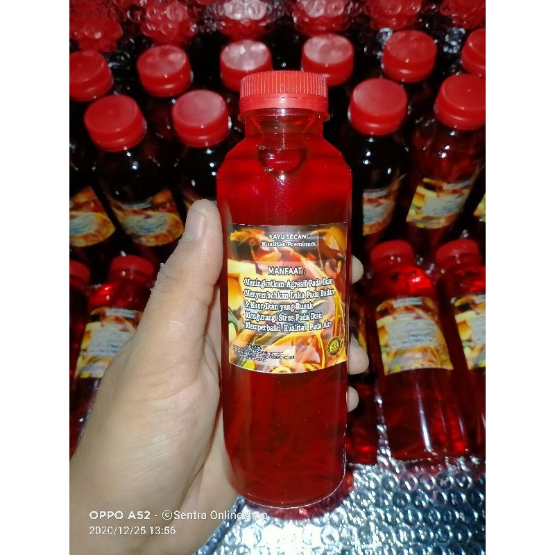 

* Kayu Serut Secang 250ml Cair Kualitas Premiumobat Vitamin Untuk Ikan Cupang Dan Ikan Hias Terlaris