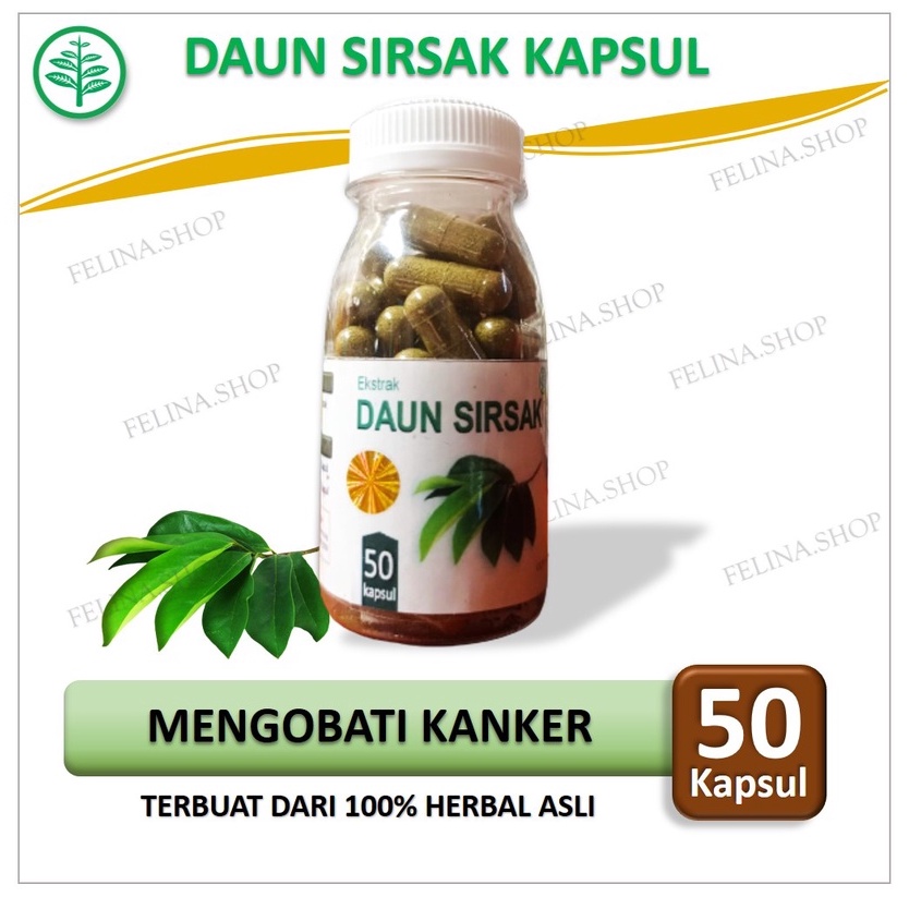 

* Daun Sirsak Herbal Jamu Suplemen Kesehatan Obat Kanker Isi 50 Kapsul Terlaris